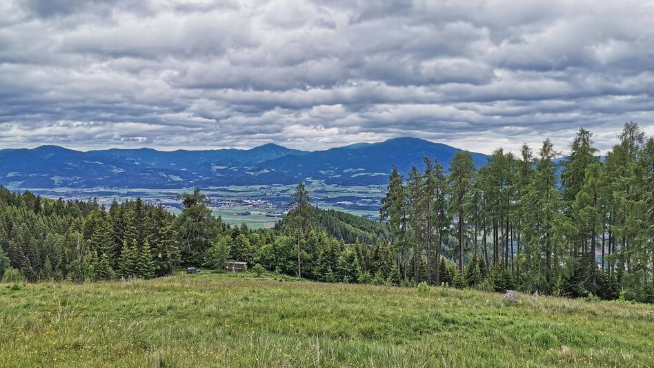 Wanderung Hammerleck über Aussichtswarte - Touren-Impression #2.5 | © Weges OG