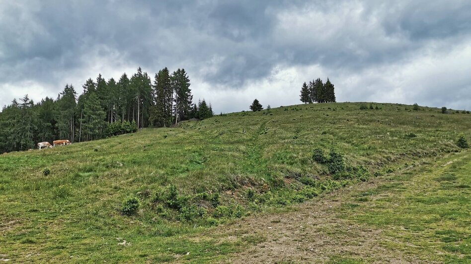 Wanderung Hammerleck über Aussichtswarte - Touren-Impression #2.6 | © Weges OG