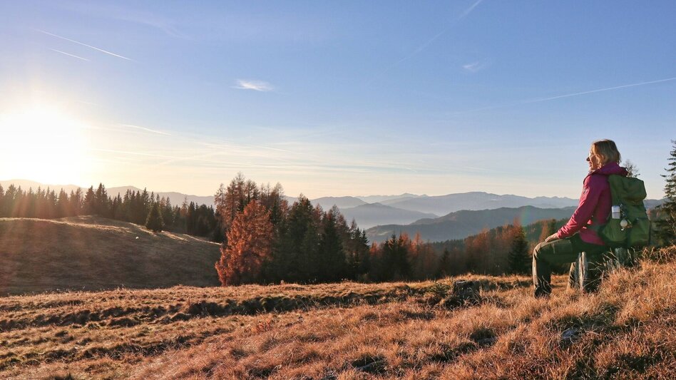 Wanderung Hammerleck über Aussichtswarte - Touren-Impression #2.8 | © Weges OG
