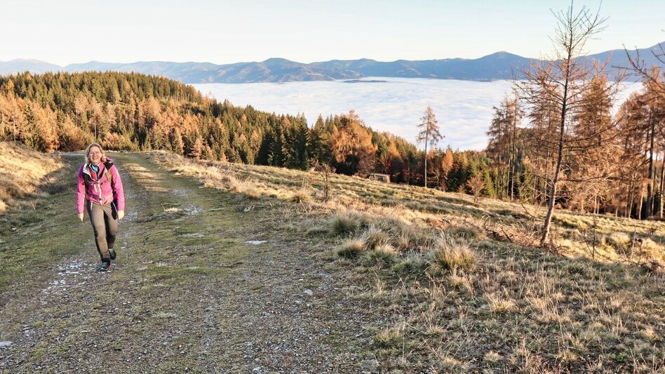 Wanderung Hammerleck über Aussichtswarte - Touren-Impression #2.9 | © Weges OG