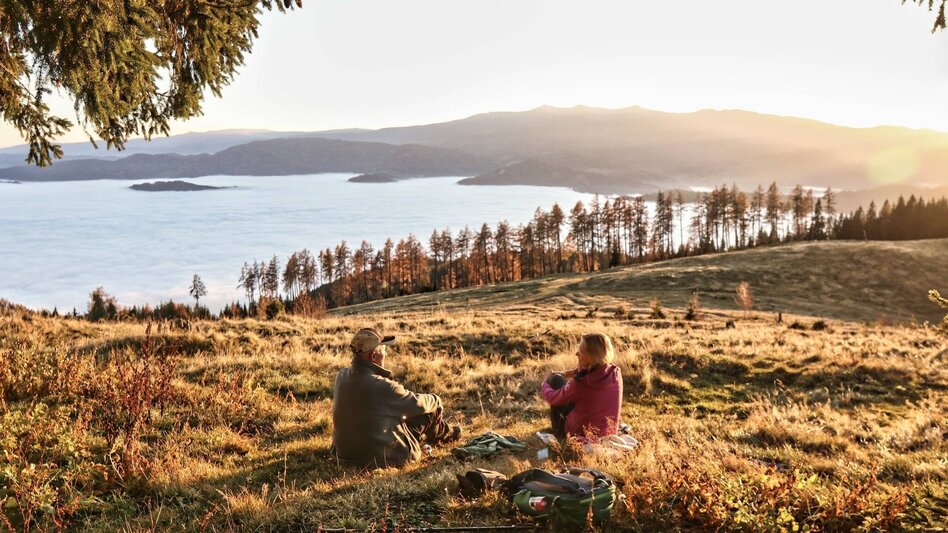 Wanderung Hammerleck über Aussichtswarte - Touren-Impression #2.10 | © Weges OG