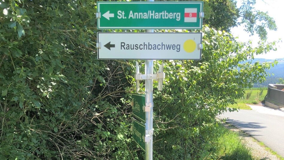 Wanderung Wanderung St. Anna, RETTER Pöllauberg - Touren-Impression #2.2 | © Oststeiermark Tourismus