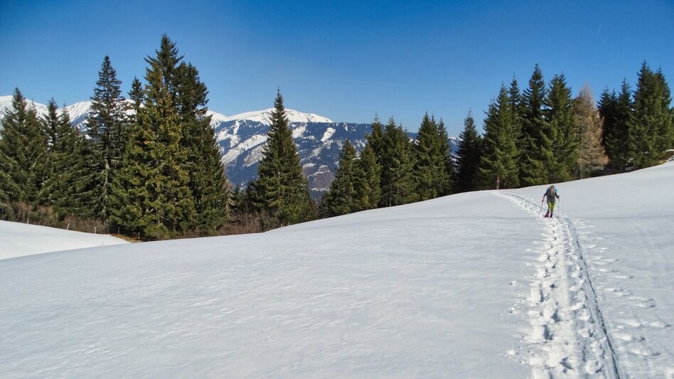 Winter Hiking Großer Schober - Touren-Impression #2.3 | © Weges OG