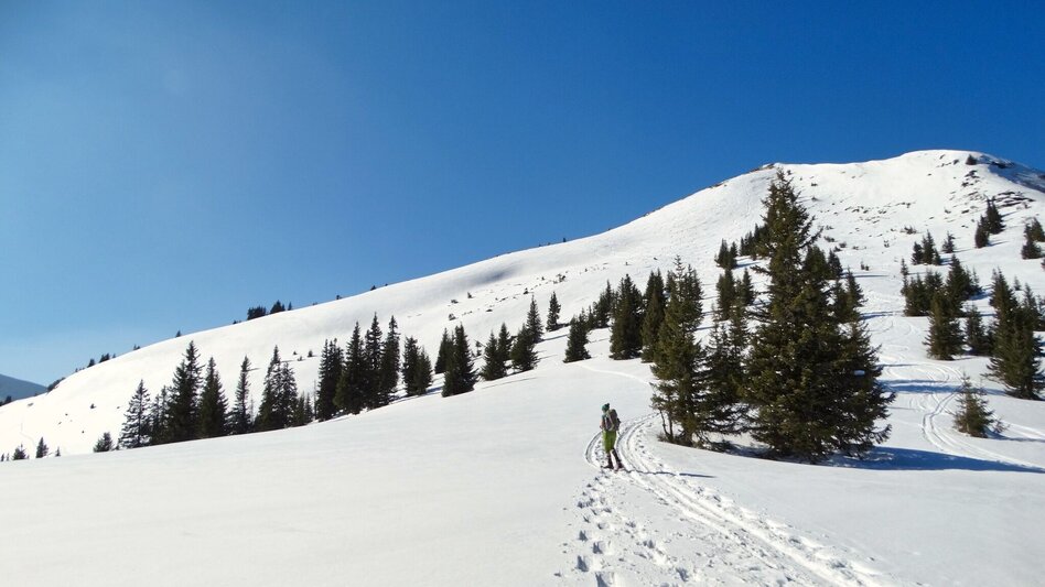 Winter Hiking Großer Schober - Touren-Impression #2.2 | © Weges OG