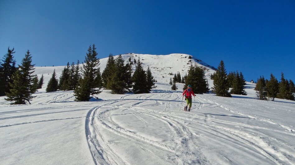 Winter Hiking Großer Schober - Touren-Impression #2.11 | © Weges OG