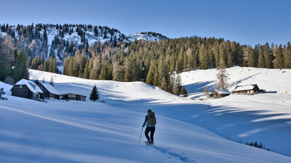 Winter Hiking Großer Schober - Touren-Impression #2.5 | © Weges OG