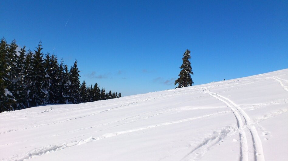 Ski Touring Tirolerkogel from Annaberg via Ebenbaueralm - Touren-Impression #2.3 | © TV Hochsteiermark