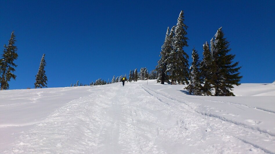 Ski Touring Tirolerkogel from Annaberg via Ebenbaueralm - Touren-Impression #2.4 | © TV Hochsteiermark