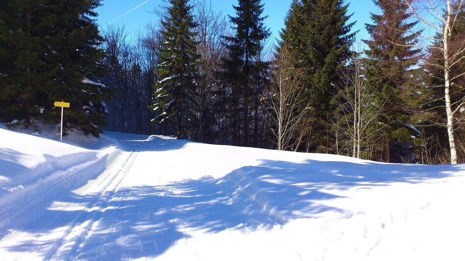 Ski Touring Tirolerkogel from Annaberg via Ebenbaueralm - Touren-Impression #2.8 | © TV Hochsteiermark