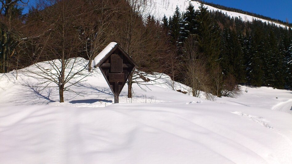 Ski Touring Tirolerkogel from Annaberg via Ebenbaueralm - Touren-Impression #2.9 | © TV Hochsteiermark