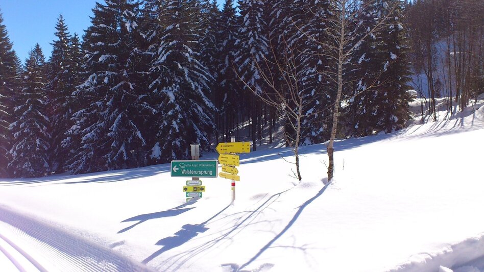 Ski Touring Tirolerkogel from Annaberg via Ebenbaueralm - Touren-Impression #2.10 | © TV Hochsteiermark