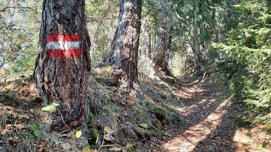 Wanderung Hammerleck über Gstättner - Touren-Impression #2.3 | © Weges OG