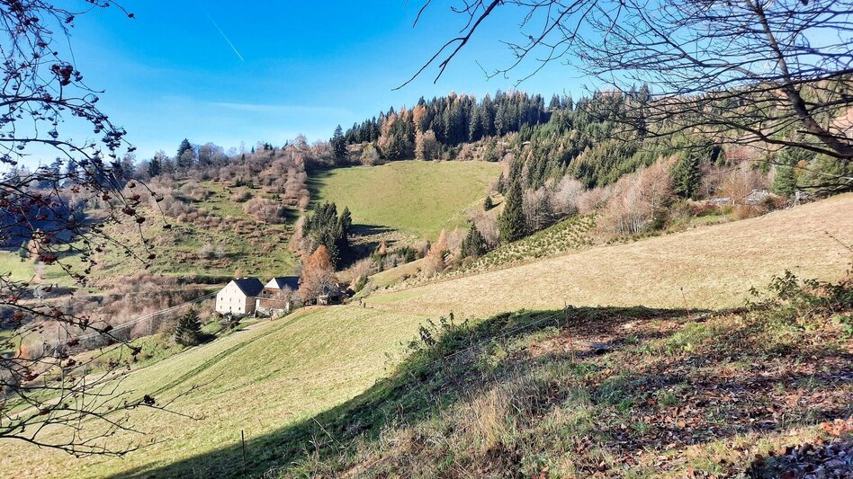 Wanderung Hammerleck über Gstättner - Touren-Impression #2.4 | © Weges OG