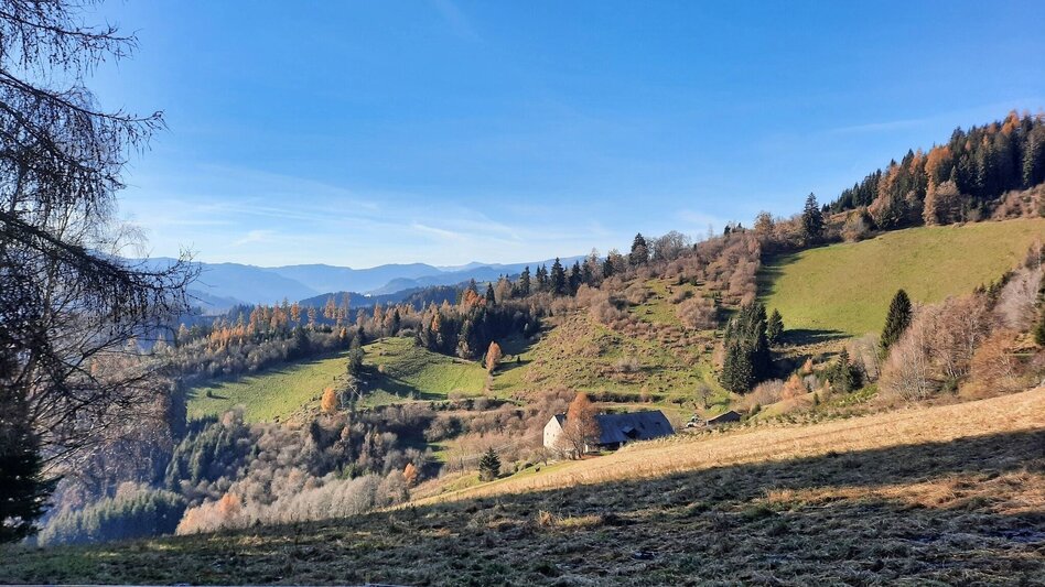 Wanderung Hammerleck über Gstättner - Touren-Impression #2.5 | © Weges OG