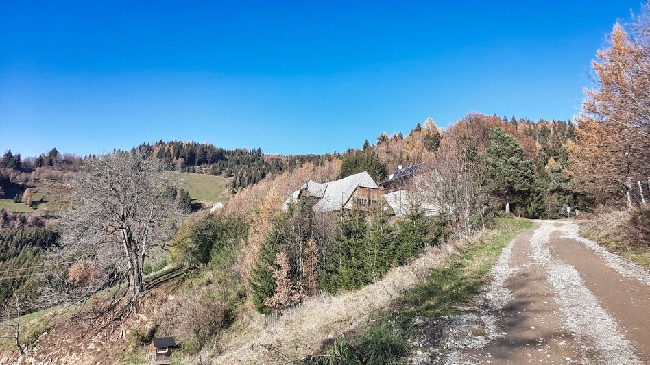 Wanderung Hammerleck über Gstättner - Touren-Impression #2.6 | © Weges OG