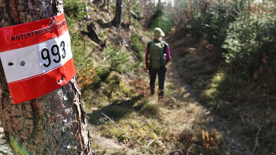 Wanderung Hammerleck über Gstättner - Touren-Impression #2.8 | © Weges OG