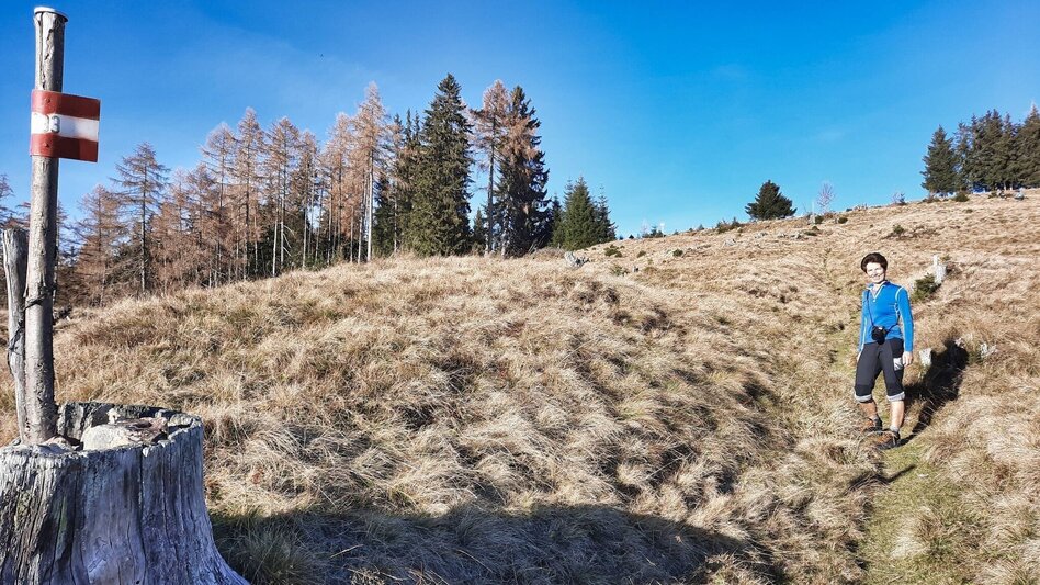 Wanderung Hammerleck über Gstättner - Touren-Impression #2.9 | © Weges OG