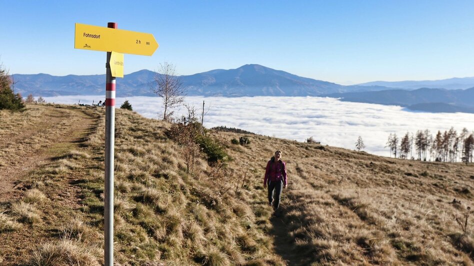 Wanderung Hammerleck über Gstättner - Touren-Impression #2.10 | © Weges OG