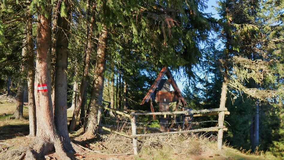 Wanderung Hammerleck über Gstättner - Touren-Impression #2.11 | © Weges OG