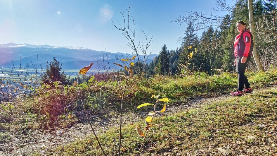 Hiking route Sillweger Aussichtswarte von Rattenberg - Touren-Impression #2.3 | © Weges OG