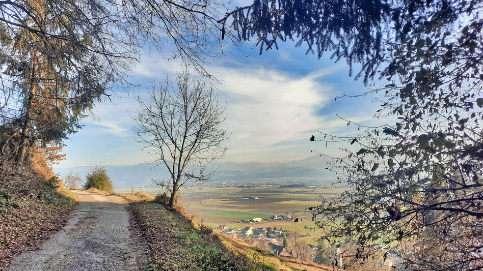 Hiking route Panorama tour Höhn - Touren-Impression #2.3 | © Weges OG