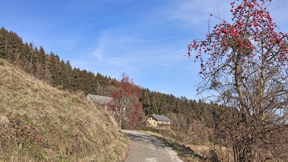 Hiking route Panorama tour Höhn - Touren-Impression #2.5 | © Weges OG