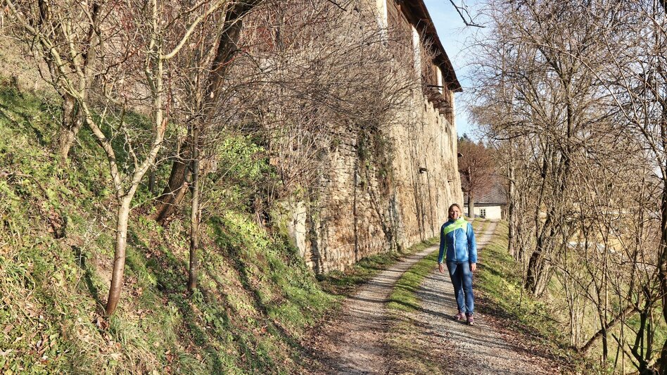 Hiking route Panorama tour Höhn - Touren-Impression #2.6 | © Weges OG