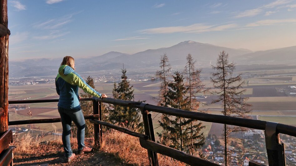 Hiking route Panorama tour Höhn - Touren-Impression #2.9 | © Weges OG