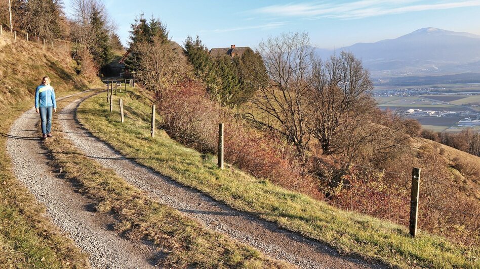 Hiking route Panorama tour Höhn - Touren-Impression #2.11 | © Weges OG