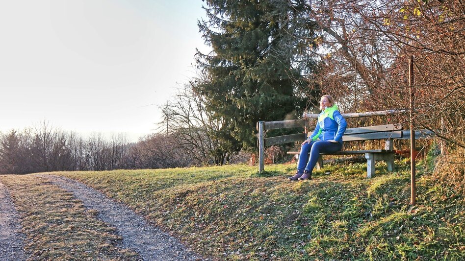 Hiking route Panorama tour Höhn - Touren-Impression #2.12 | © Weges OG