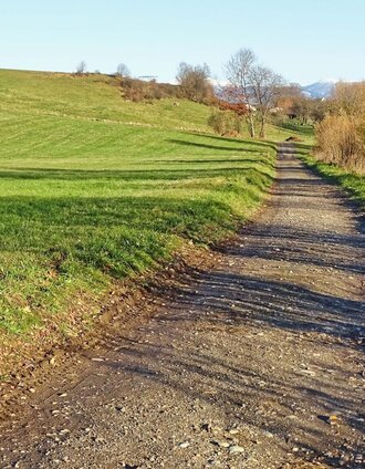 Über Feldwege wandern wir zuerst nach Sillweg | Weges OG | © Weges OG