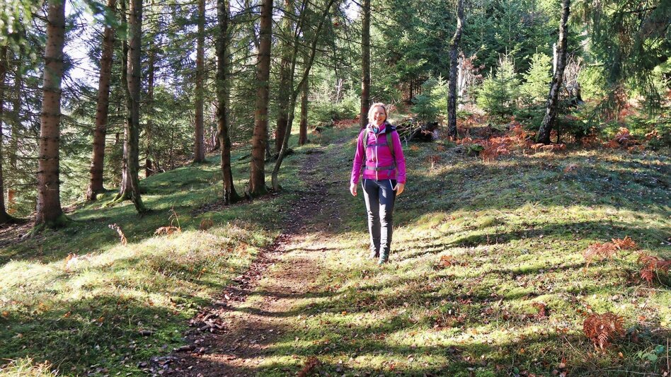 Hiking route Hammerleck via Sillweger Warte from Rattenberg - Touren-Impression #2.4 | © Weges OG