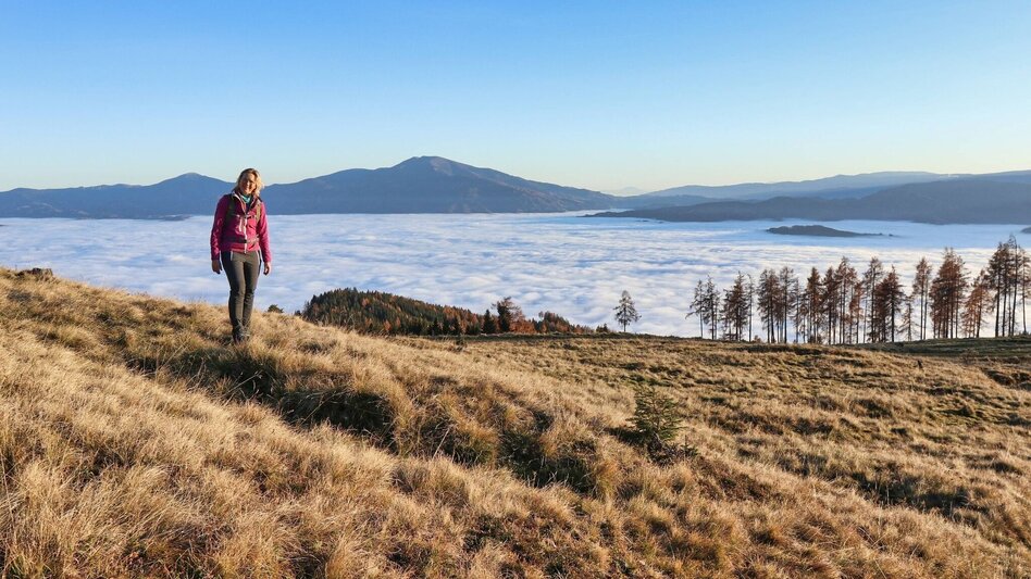 Hiking route Hammerleck via Sillweger Warte from Rattenberg - Touren-Impression #2.5 | © Weges OG