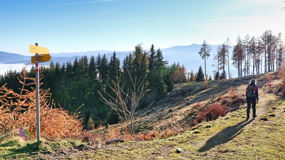 Hiking route Hammerleck via Sillweger Warte from Rattenberg - Touren-Impression #2.6 | © Weges OG