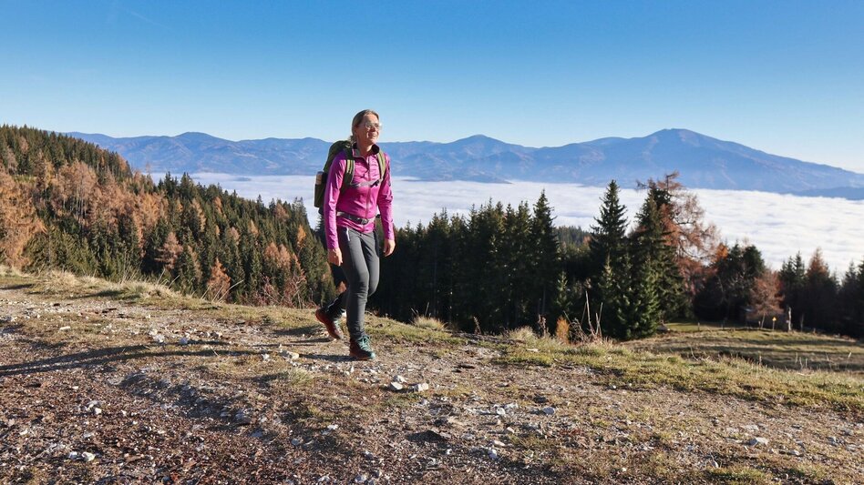 Hiking route Hammerleck via Sillweger Warte from Rattenberg - Touren-Impression #2.7 | © Weges OG