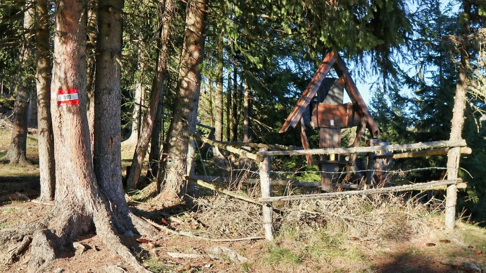 Hiking route Hammerleck via Sillweger Warte from Rattenberg - Touren-Impression #2.8 | © Weges OG