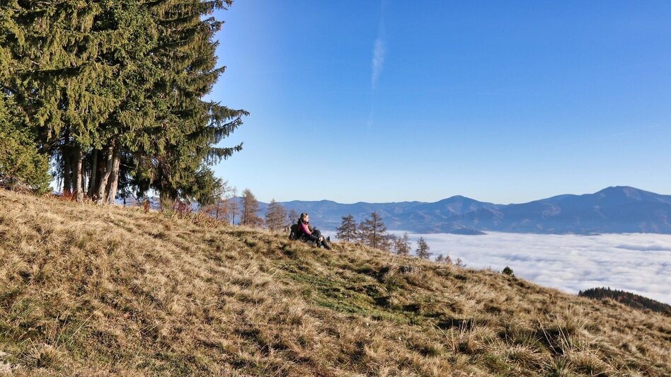Hiking route Hammerleck via Sillweger Warte from Rattenberg - Touren-Impression #2.9 | © Weges OG