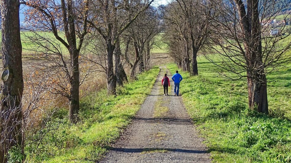 Wanderung Fußweg von Rattenberg nach Fohnsdorf - Touren-Impression #2.1 | © Weges OG