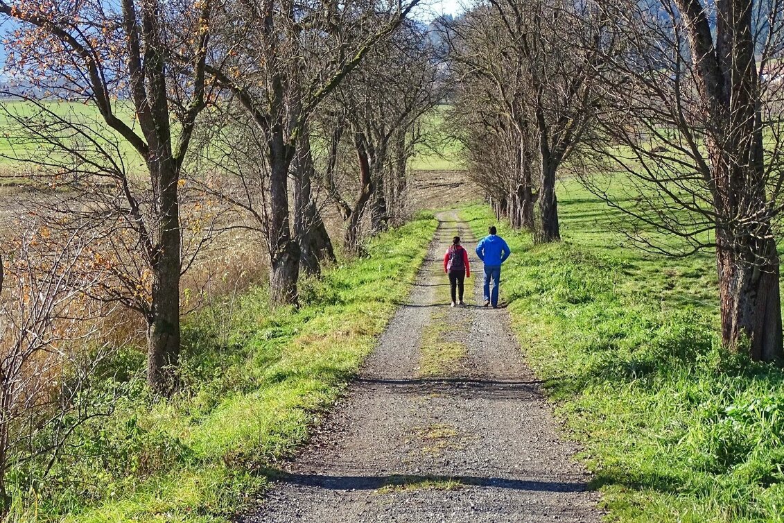 Wanderung Fußweg von Rattenberg nach Fohnsdorf - Touren-Impression #1 | © Weges OG