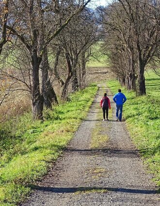 Allee von Rattenberg nach Sillweg | Weges OG | © Weges OG