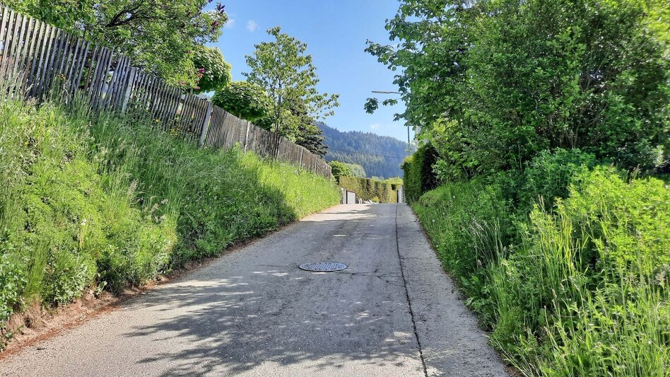 Wanderung Fußweg von Rattenberg nach Fohnsdorf - Touren-Impression #2.8 | © Weges OG