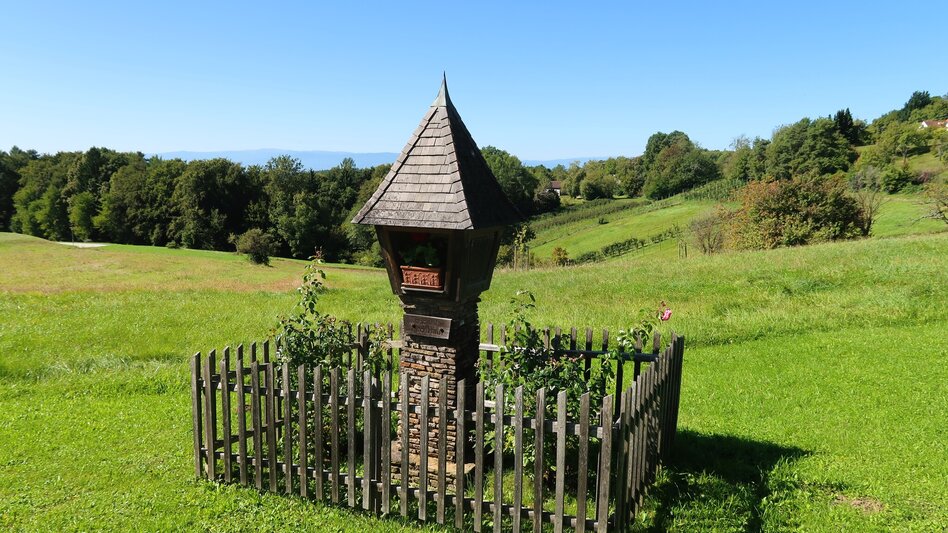 Bike Riding Tasty Tour - Touren-Impression #2.2 | © Region Graz