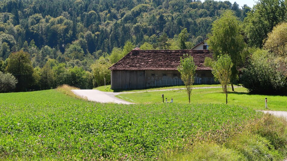 Bike Riding Tasty Tour - Touren-Impression #2.5 | © Region Graz