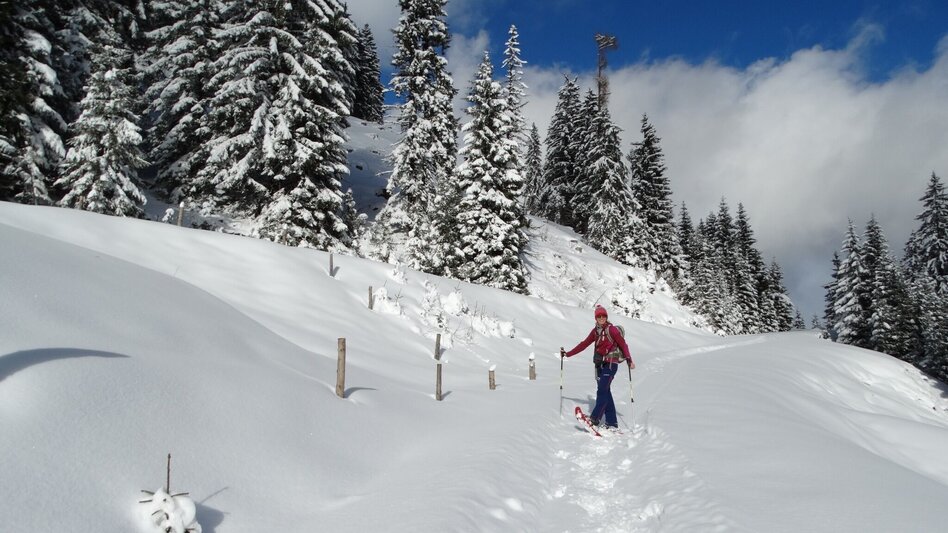 Snowshoe walking Gscheideggkogel - Touren-Impression #2.4 | © Weges OG