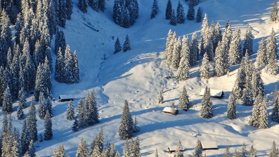 Snowshoe walking Gscheideggkogel - Touren-Impression #2.9 | © Weges OG