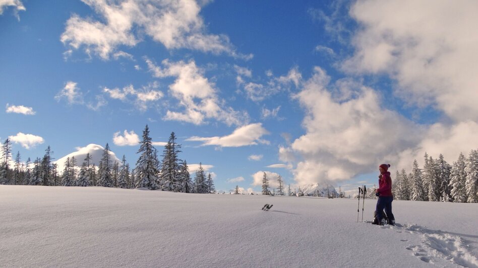 Snowshoe walking Gscheideggkogel - Touren-Impression #2.10 | © Weges OG