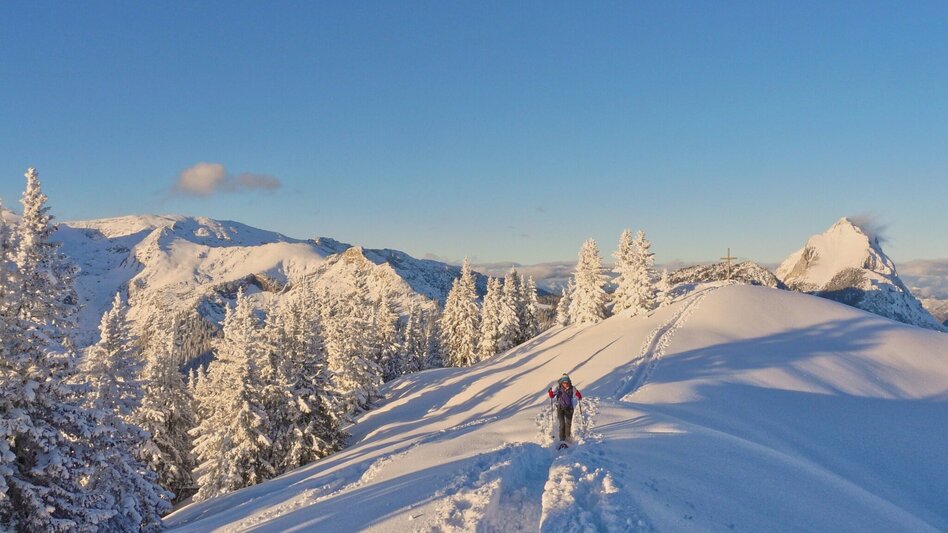 Snowshoe walking Gscheideggkogel - Touren-Impression #2.1 | © Tourismusverband ERZBERG LEOBEN
