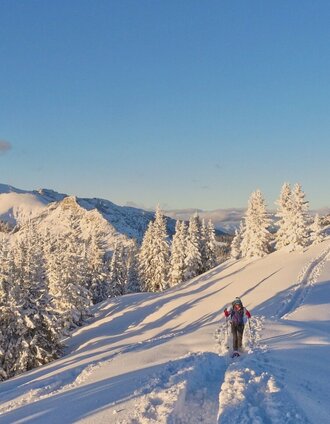 Blick zurück - im Hintergrund der Lugauer | Fa. WEGES OG im Auftrag der Abenteuer- und Sportregion ERZBERG LEOBEN | © Tourismusverband ERZBERG LEOBEN