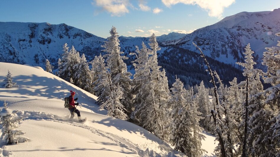 Snowshoe walking Gscheideggkogel - Touren-Impression #2.2 | © Weges OG
