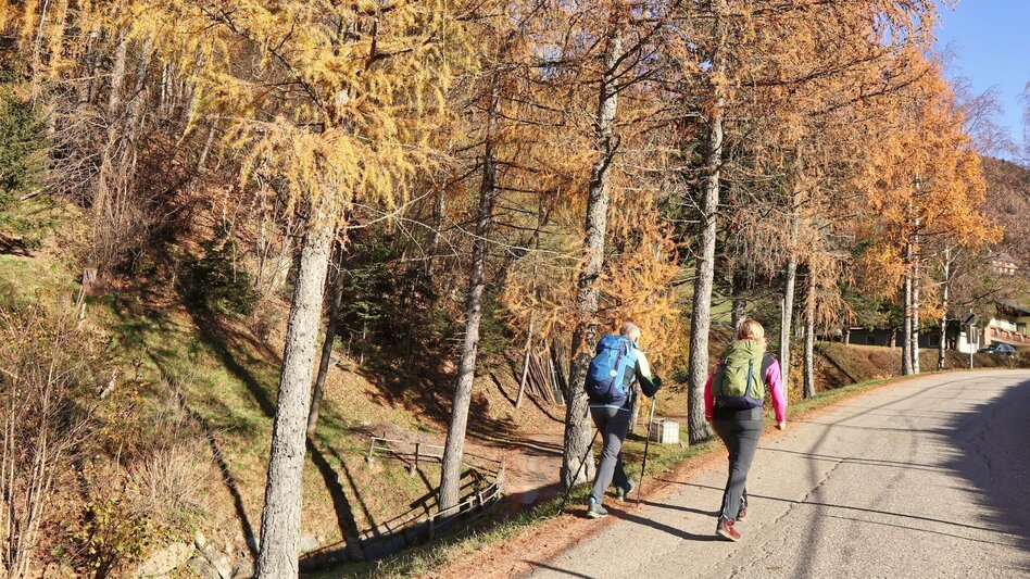 Hiking route Rosenkogel via Grünholzsteig - Touren-Impression #2.2 | © Weges OG